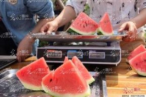 山东最新吃瓜爆料,揭秘神秘事件背后的真相