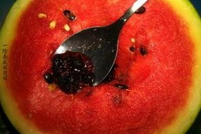 泡泡吃瓜网奇葩,揭秘网络奇谈，奇葩事件大盘点