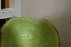 网红瓜都是谁吃的图片搞笑